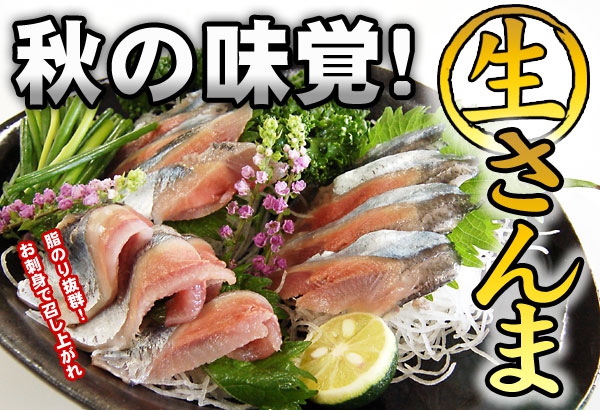  【新秋刀魚お刺身】